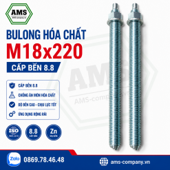 Bulong Hóa Chất M18x220 Cấp Bền 8.8
