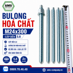 Bu Lông Hóa Chất M24x300 Cấp Bền 5.8